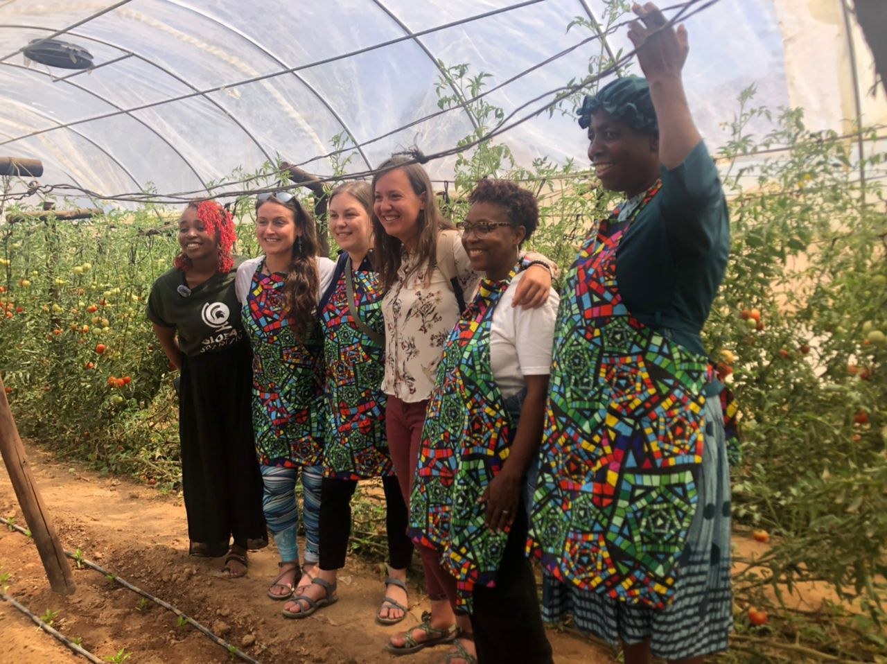 DREAMS team and partners inside the greenhouse